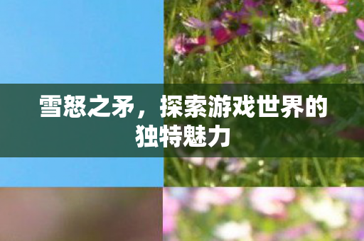 雪怒之矛，探索游戏世界的独特魅力