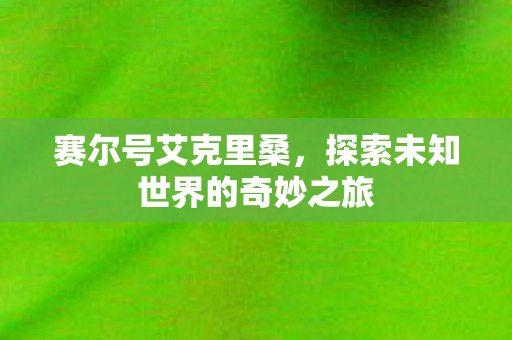 赛尔号艾克里桑，探索未知世界的奇妙之旅