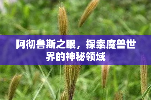 阿彻鲁斯之眼，探索魔兽世界的神秘领域