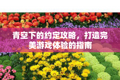 青空下的约定攻略，打造完美游戏体验的指南