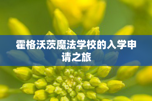 霍格沃茨魔法学校的入学申请之旅