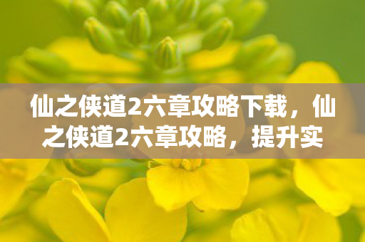 仙之侠道2六章攻略下载，仙之侠道2六章攻略，提升实力与探索秘境的全方位指南