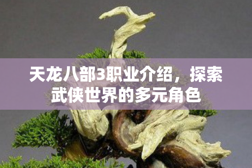 天龙八部3职业介绍，探索武侠世界的多元角色
