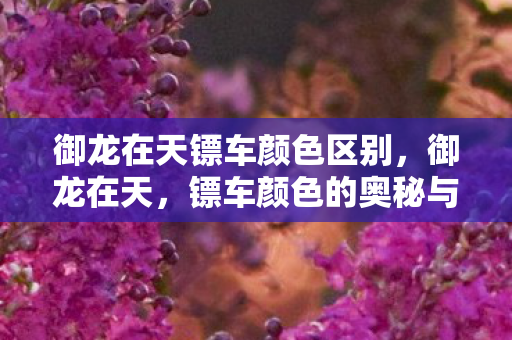 御龙在天镖车颜色区别，御龙在天，镖车颜色的奥秘与战略意义