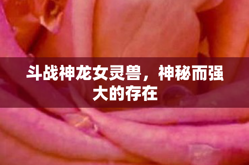 斗战神龙女灵兽，神秘而强大的存在