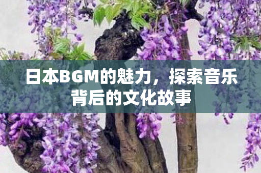 日本BGM的魅力，探索音乐背后的文化故事