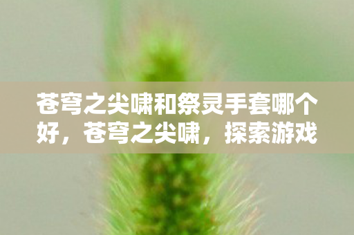 苍穹之尖啸和祭灵手套哪个好，苍穹之尖啸，探索游戏世界的无限可能