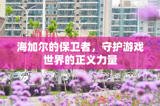 海加尔的保卫者，守护游戏世界的正义力量