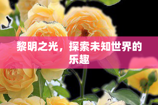 黎明之光，探索未知世界的乐趣