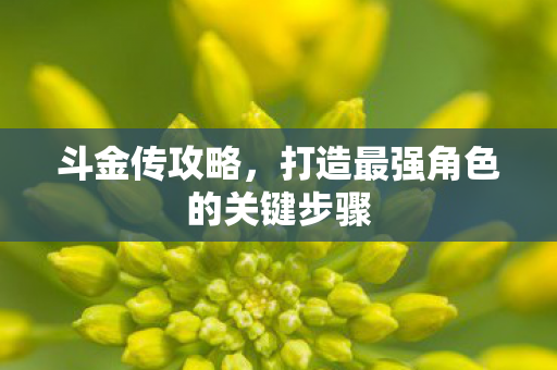 斗金传攻略，打造最强角色的关键步骤