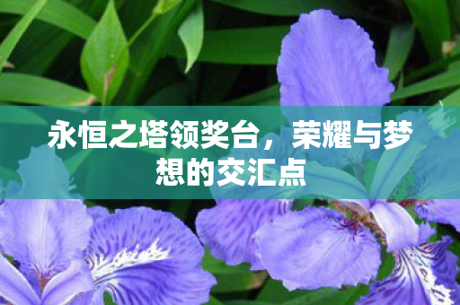 永恒之塔领奖台，荣耀与梦想的交汇点