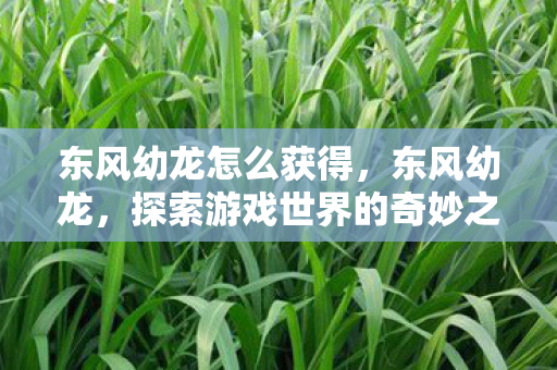 东风幼龙怎么获得，东风幼龙，探索游戏世界的奇妙之旅
