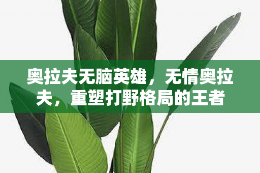 奥拉夫无脑英雄，无情奥拉夫，重塑打野格局的王者