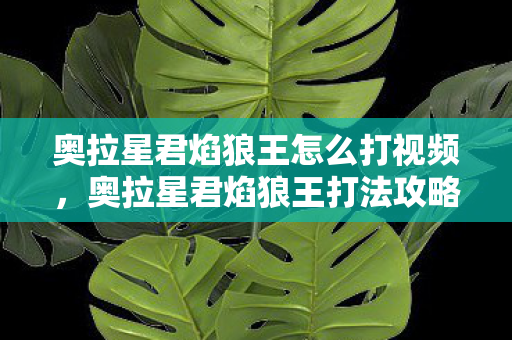 奥拉星君焰狼王怎么打视频，奥拉星君焰狼王打法攻略