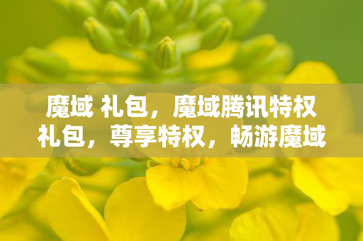 魔域 礼包，魔域腾讯特权礼包，尊享特权，畅游魔域新纪元