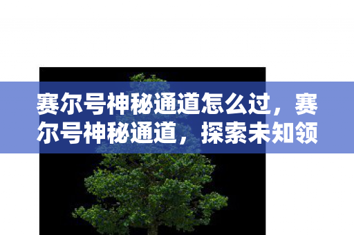 赛尔号神秘通道怎么过，赛尔号神秘通道，探索未知领域的奇妙之旅