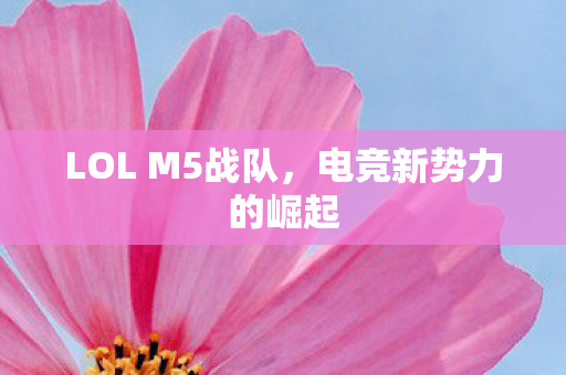 LOL M5战队，电竞新势力的崛起