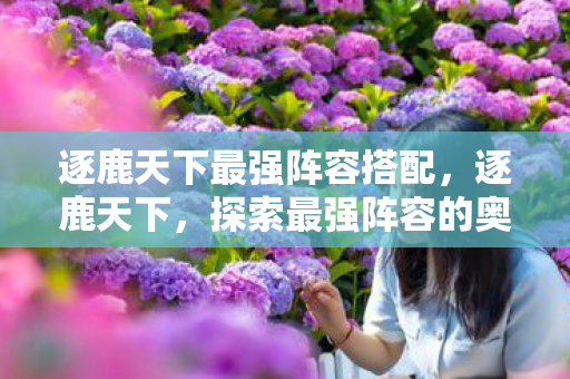 逐鹿天下最强阵容搭配，逐鹿天下，探索最强阵容的奥秘