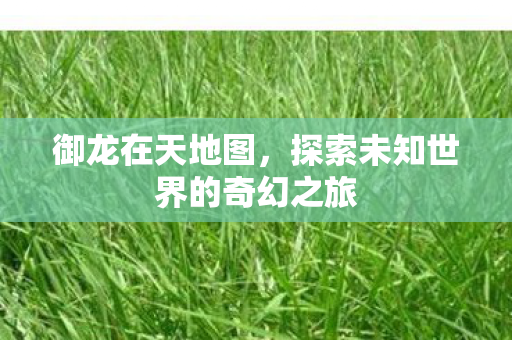 御龙在天地图，探索未知世界的奇幻之旅