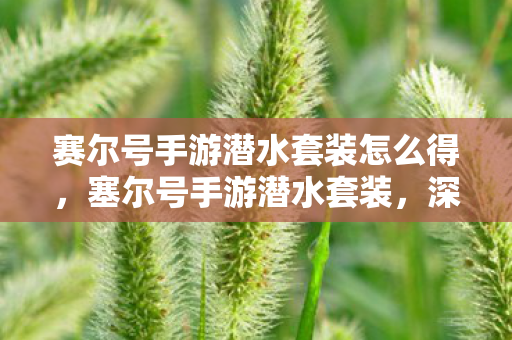 赛尔号手游潜水套装怎么得，塞尔号手游潜水套装，深海探险的必备神器