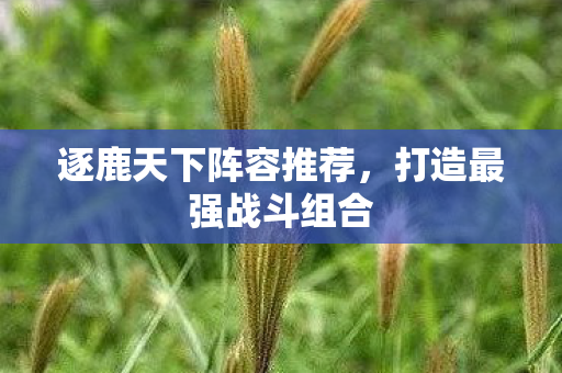 逐鹿天下阵容推荐，打造最强战斗组合