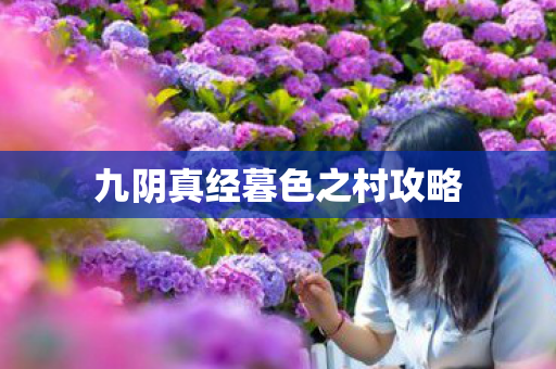 九阴真经暮色之村攻略