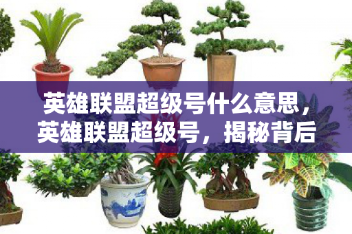 英雄联盟超级号什么意思，英雄联盟超级号，揭秘背后的运营策略与玩家期待