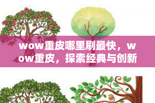 wow重皮哪里刷最快，wow重皮，探索经典与创新的完美结合