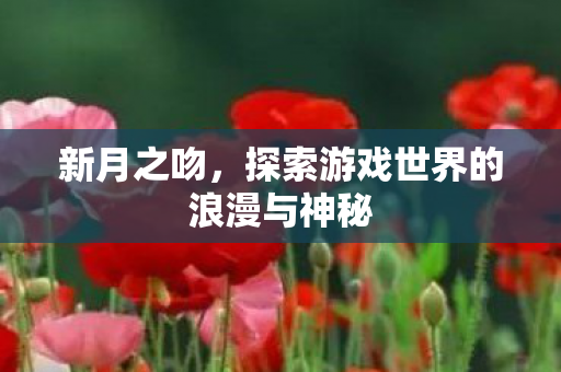 新月之吻，探索游戏世界的浪漫与神秘