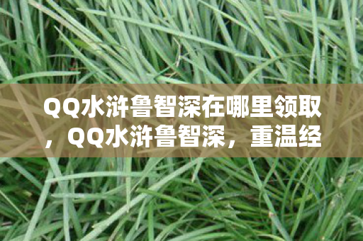 QQ水浒鲁智深在哪里领取，QQ水浒鲁智深，重温经典，再续梁山情缘