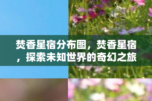 焚香星宿分布图，焚香星宿，探索未知世界的奇幻之旅