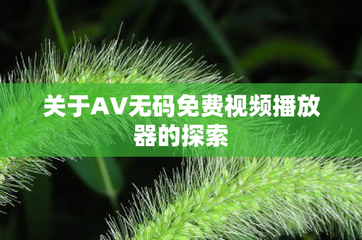 关于AV无码免费视频播放器的探索