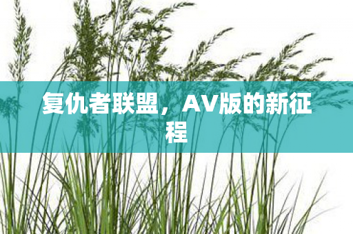 复仇者联盟，AV版的新征程