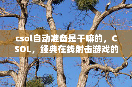 csol自动准备是干嘛的，CSOL，经典在线射击游戏的魅力与未来展望
