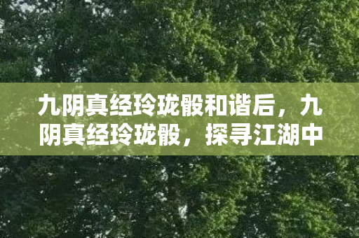 九阴真经玲珑骰和谐后，九阴真经玲珑骰，探寻江湖中的神秘宝物