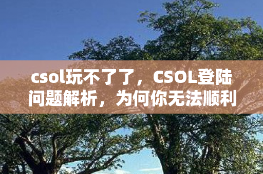 csol玩不了了，CSOL登陆问题解析，为何你无法顺利游玩？