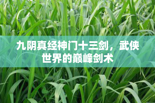 九阴真经神门十三剑，武侠世界的巅峰剑术