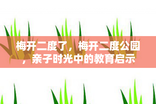 梅开二度了，梅开二度公园，亲子时光中的教育启示
