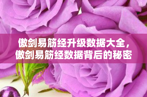 傲剑易筋经升级数据大全，傲剑易筋经数据背后的秘密，揭秘游戏数据背后的故事