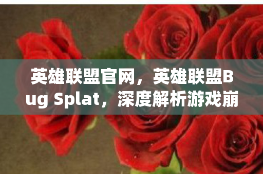 英雄联盟官网，英雄联盟Bug Splat，深度解析游戏崩溃背后的原因与解决方案