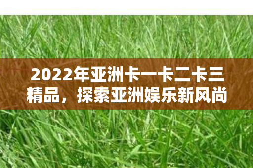 2022年亚洲卡一卡二卡三精品，探索亚洲娱乐新风尚
