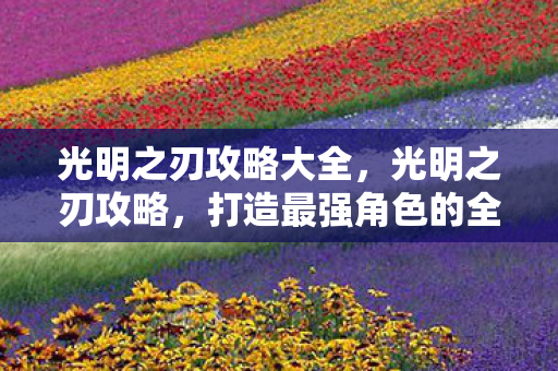 光明之刃攻略大全，光明之刃攻略，打造最强角色的全面指南