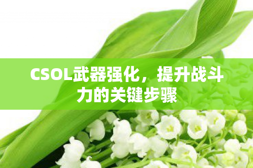 CSOL武器强化，提升战斗力的关键步骤