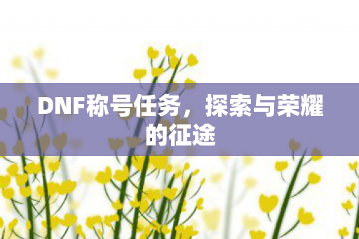 DNF称号任务，探索与荣耀的征途