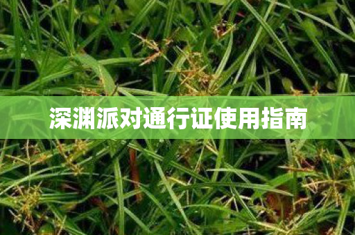 深渊派对通行证使用指南