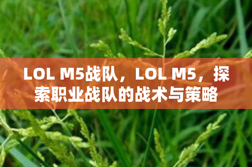 LOL M5战队，LOL M5，探索职业战队的战术与策略
