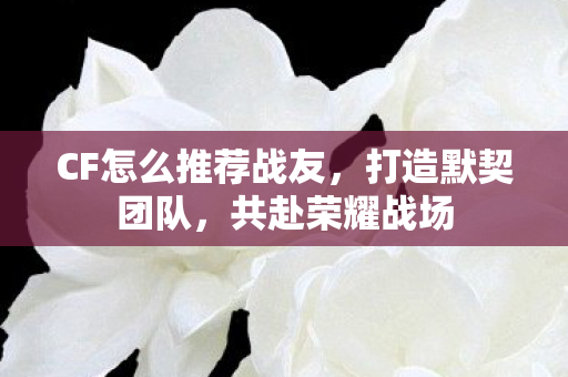 CF怎么推荐战友，打造默契团队，共赴荣耀战场