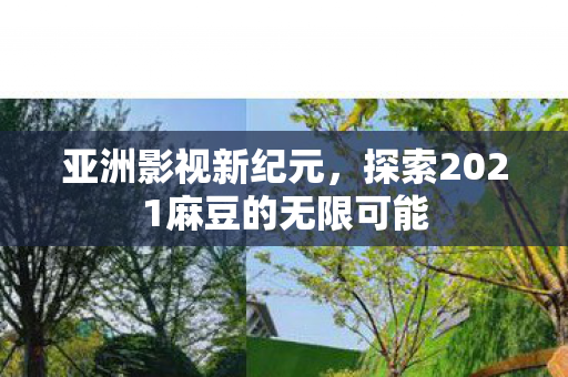 亚洲影视新纪元，探索2021麻豆的无限可能