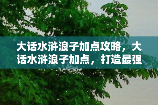 大话水浒浪子加点攻略，大话水浒浪子加点，打造最强浪子的攻略指南