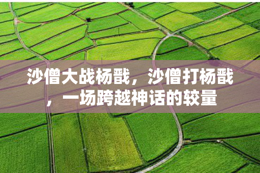 沙僧大战杨戬，沙僧打杨戬，一场跨越神话的较量